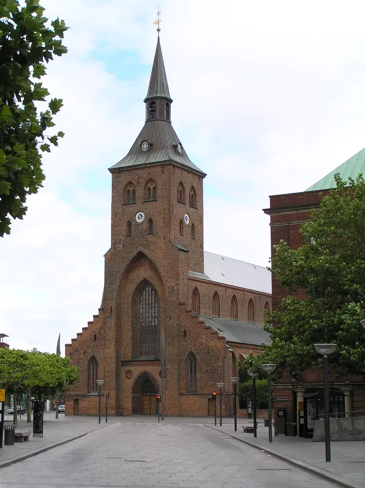 Dronelicens i Odense